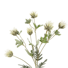 Thistle Flower White - Home4u