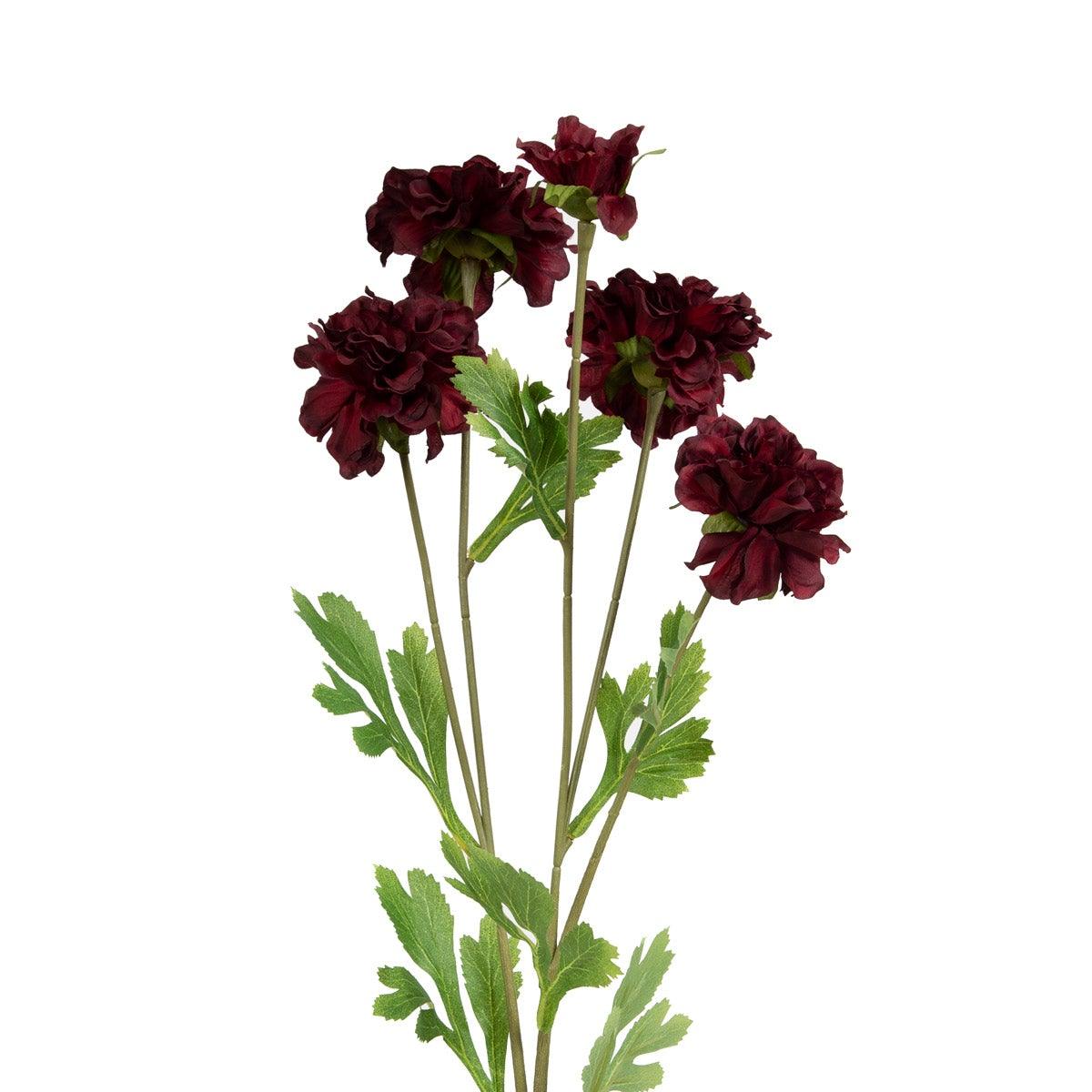 Beauty Zinnia Flower - Home4u