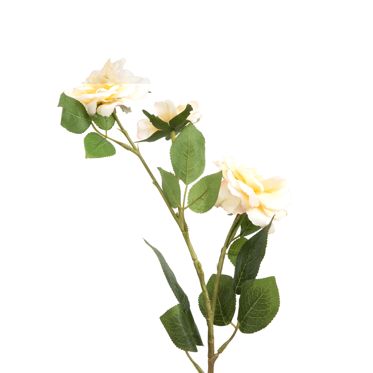 Beijing Rose Flower - Home4u