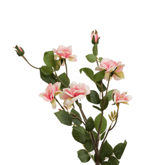 CARMEL ROSE FLOWER - Home4u