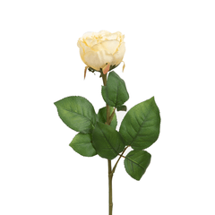 Peking Cabbage Rose with Leaves Pink and Off White - Home4u