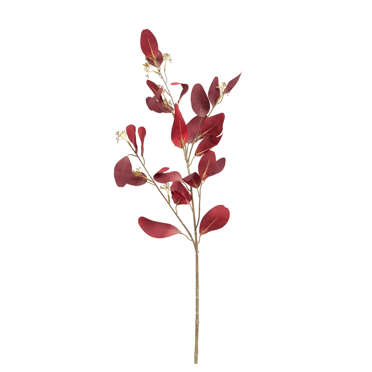 Paris Eucalyptus with Fruit Flower - Home4u