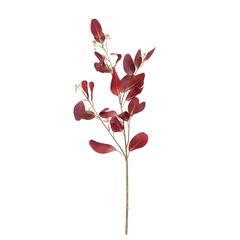 Paris Eucalyptus with Fruit Flower - Home4u