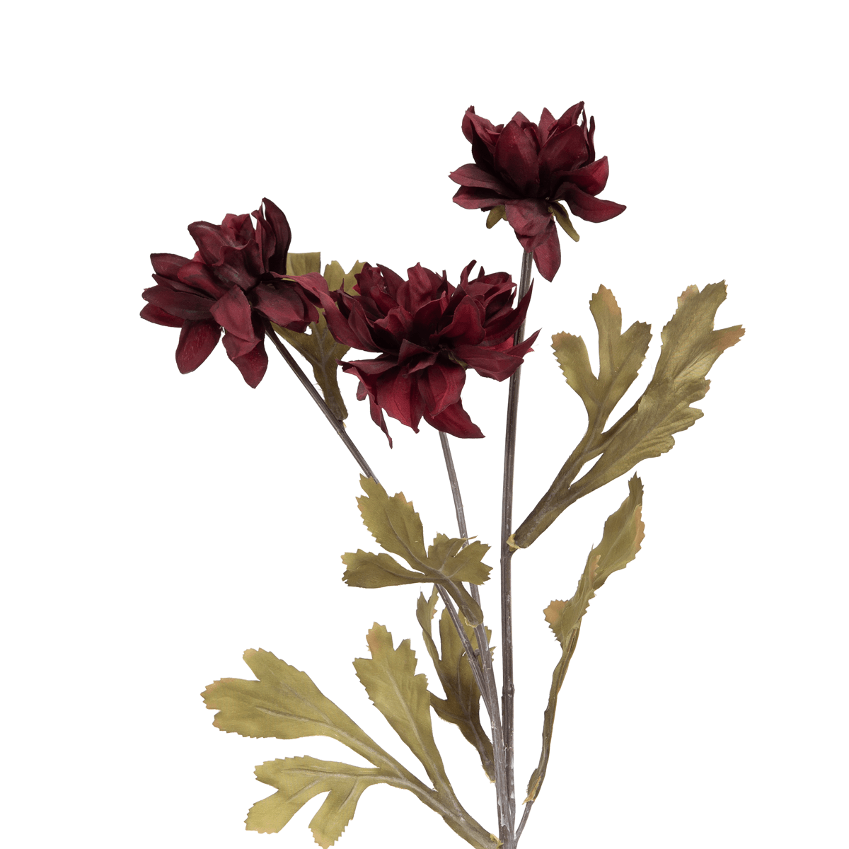 Dahlia Flower Burgundy - Home4u