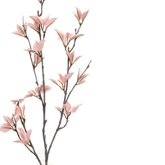 Light Pink Everygreen Flower - Home4u