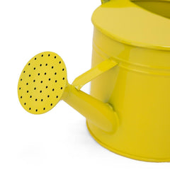 Tashvi Watering Can Yellow - Home4u