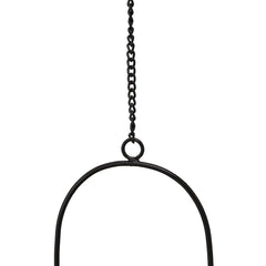 Adelaide Oval Hanging Planter