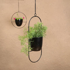 Adelaide Oval Hanging Planter