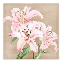 Calix Pink Lily Wall Art