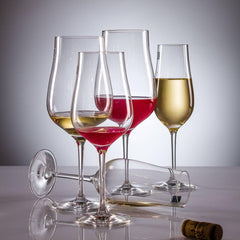 Schott Zwiesel Bordeaux Concerto 130 Transparent Glass Set Of 6