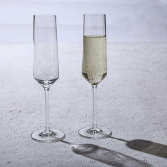 Schott Zwiesel Pure Sparkling Wine Set of 2