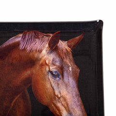 Platex Acrylic Tray Horse Portrait