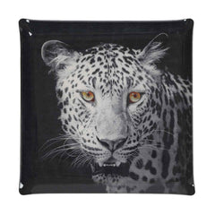 Platex Acrylic Tray Panther Portrait