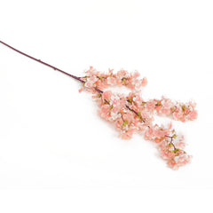 Peach Cherry Blossom Flowers