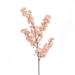 Peach Cherry Blossom Flowers