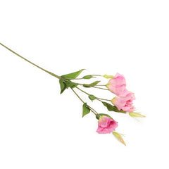 Pink Lisianthus Flowers