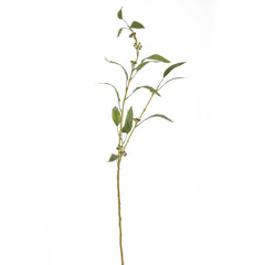 Eucalyptus Leaf Stem Small