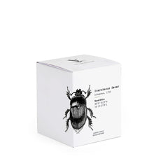 Vila Hermanos Insect Scarabeus Sacer Jar Candle in Wood Wick