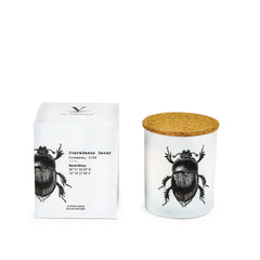 Vila Hermanos Insect Scarabeus Sacer Jar Candle in Wood Wick