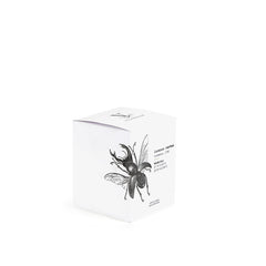 Vila Hermanos Insect Lucanus Cervus Jar Candle Wood Wick