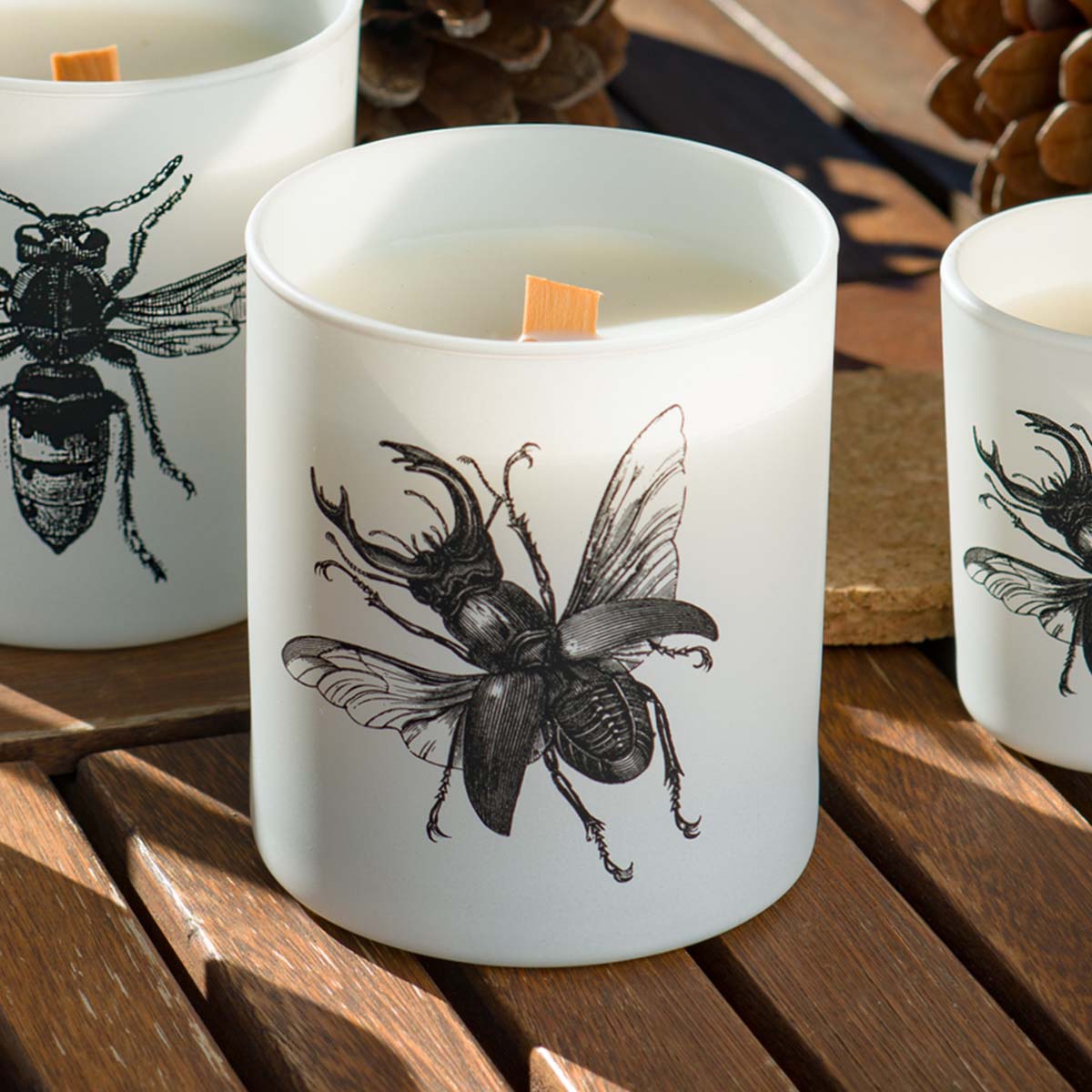 Vila Hermanos Insect Lucanus Cervus Jar Candle Wood Wick
