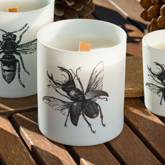 Vila Hermanos Insect Lucanus Cervus Jar Candle Wood Wick