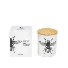 Vila Hermanos Insect Calabrone Jar Candle Wood Wick