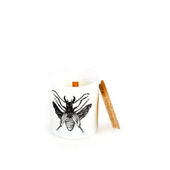 Vila Hermanos Insect Dorysthenes Walkeri Jar Candle Wood Wick