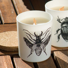 Vila Hermanos Insect Dorysthenes Walkeri Jar Candle Wood Wick