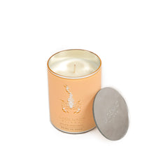 Ladenac Dynastia Reine De Saba Scorpion Jar Candle