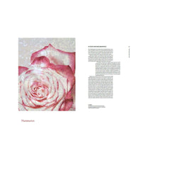 Dior in Bloom Book