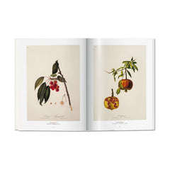 The Watch Book Rolex - New Edt. Book