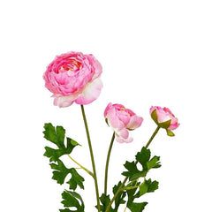 Ayier Pink Flowers - Home4u