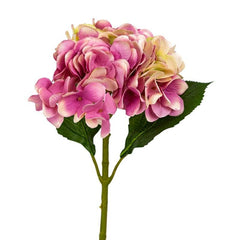 Hyrnie Purple Flowers - Home4u