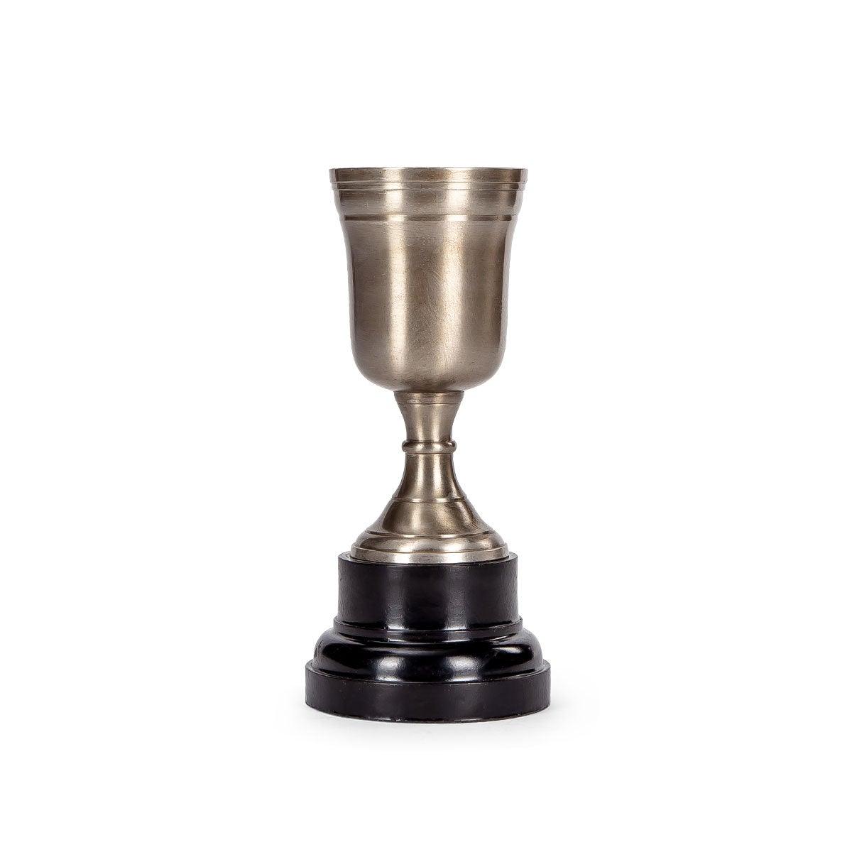 Trophy - Big - Home4u