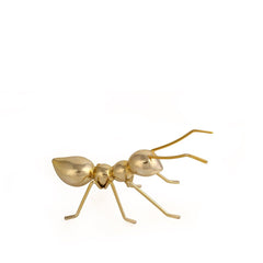 Golden Ants Small - Home4u