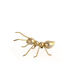 Golden Ants Small - Home4u
